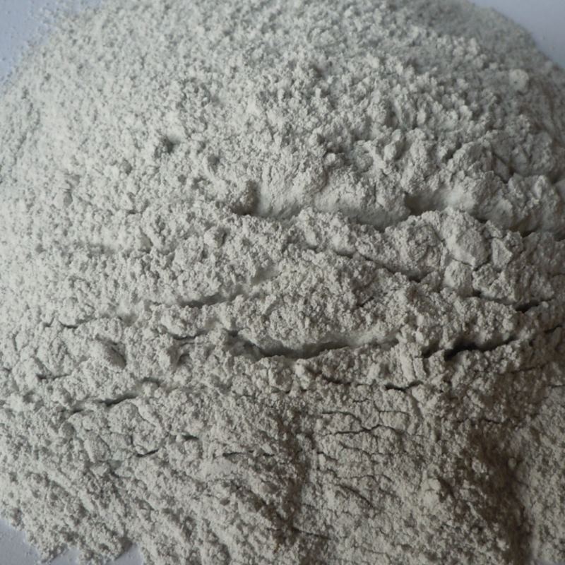 沈陽(yáng)漂白粉在水產(chǎn)養殖業(yè)的應用